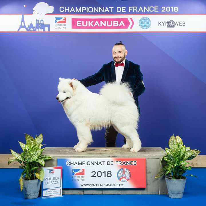 of Sparkling Starlight - championnat de France  2018