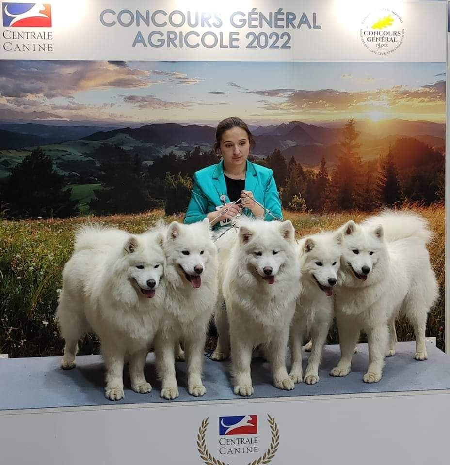 of Sparkling Starlight - Salon de l agriculture 2022