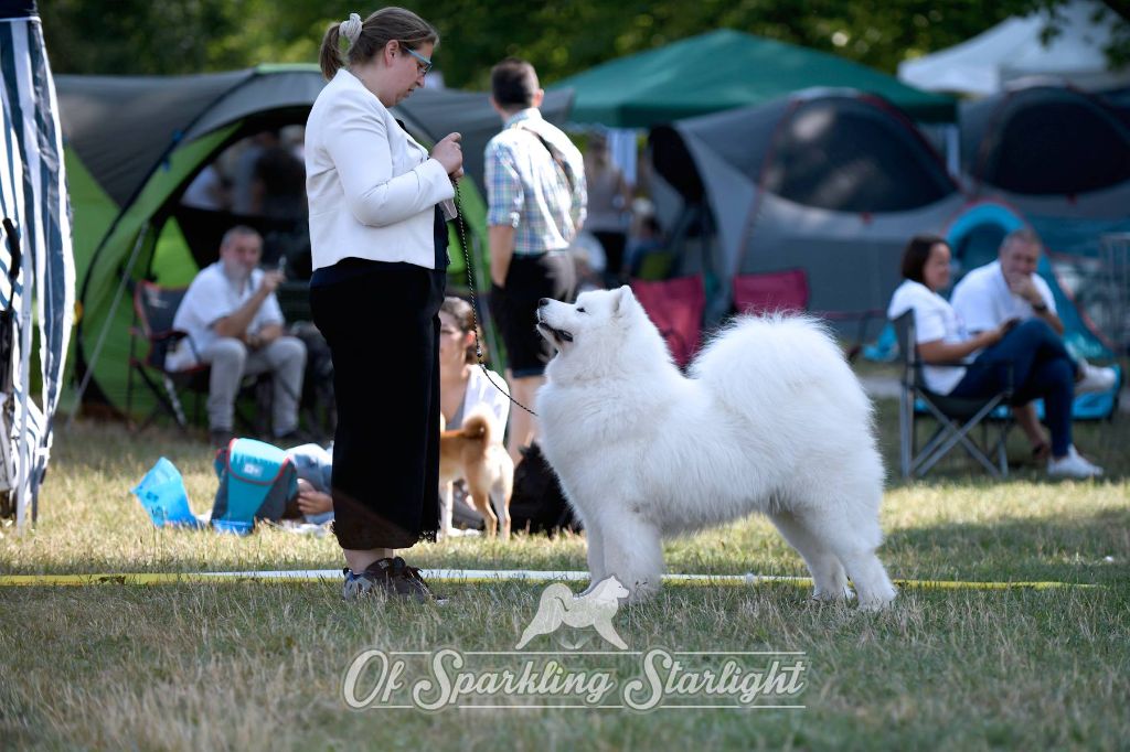 of Sparkling Starlight - Régionale d'élevage septembre 2018