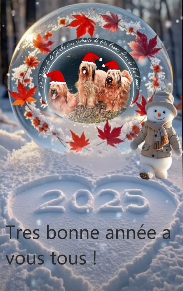 De La Pointe De La Torche - Bonne année 2025