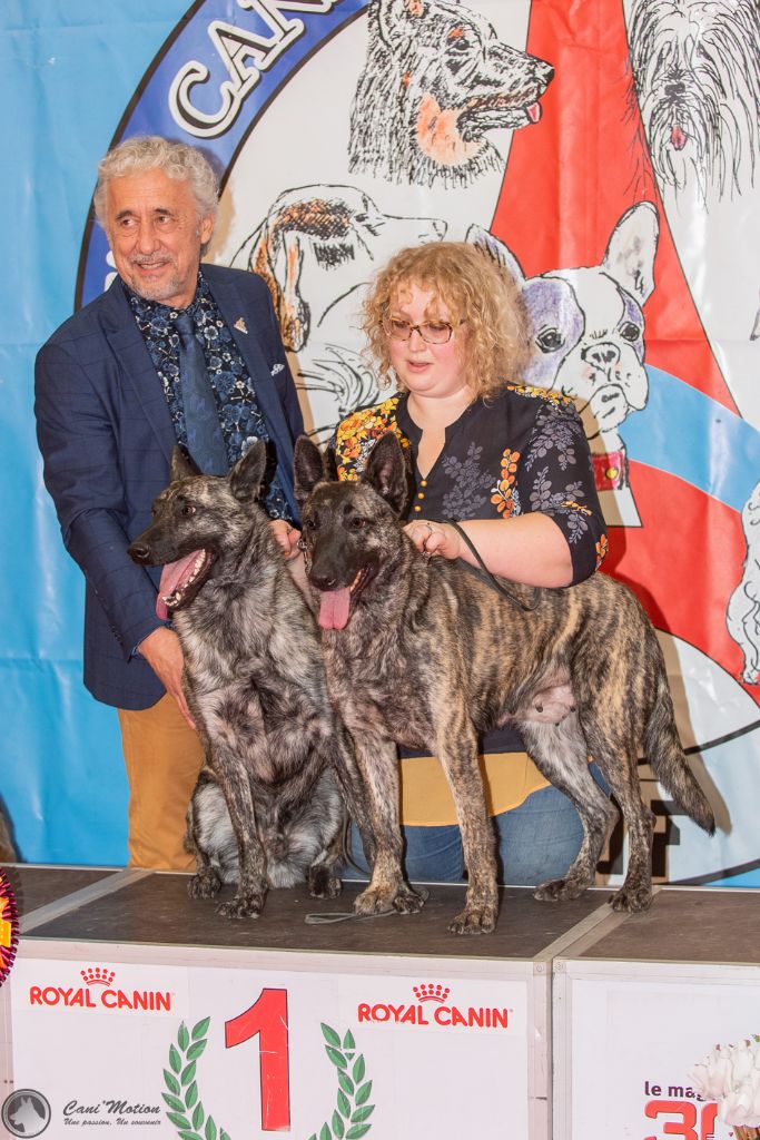 De La Terre Des Flandres - Paris Dog Show 2020