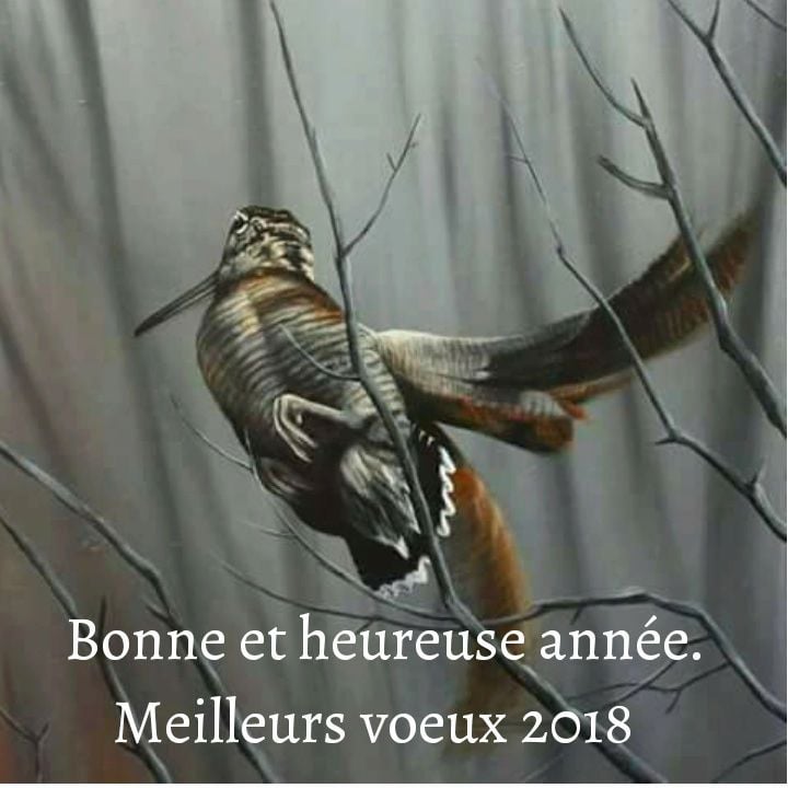 Bonne Année 2018