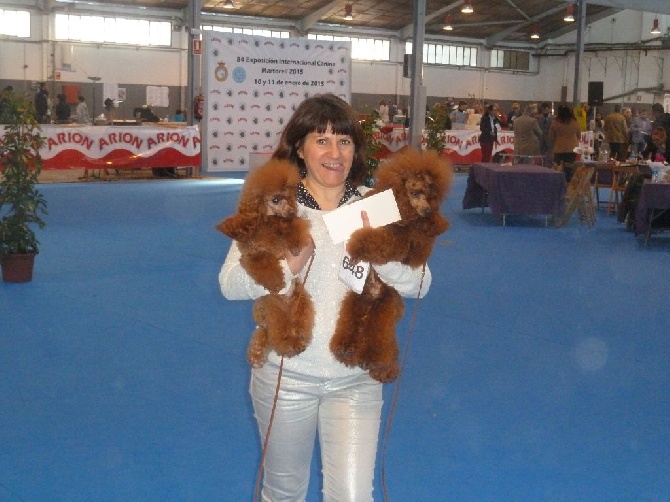 Di Dghyovellina - Exposition canine de Martorell Espagne 2015