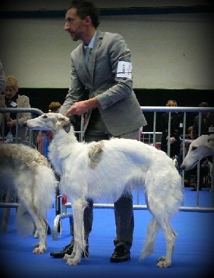 Domaine De Lenjon - Expo de Toulouse....