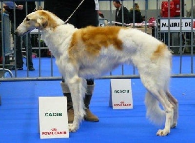 Résultat de l'expo de TOULOUSE