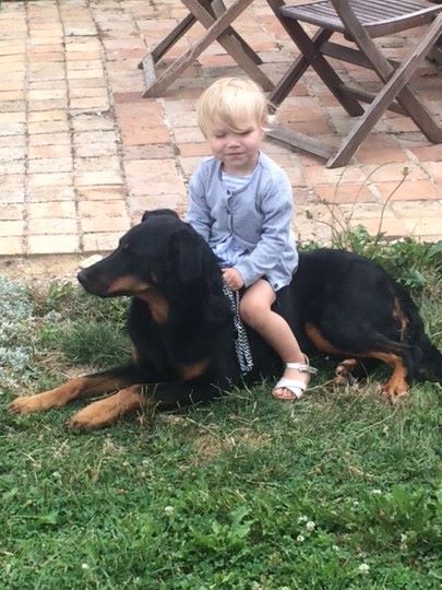 des Mille Pas de Loup - A DADA SUR MON BEAUCERON!