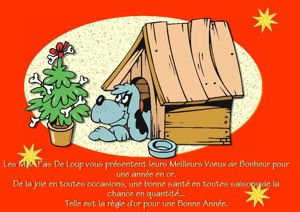 des Mille Pas de Loup - Nos meilleurs voeux pour 2018