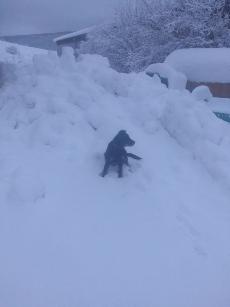 des Mille Pas de Loup - VIZIR et la neige...