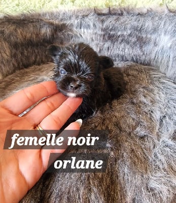 fmelle noir et blanche