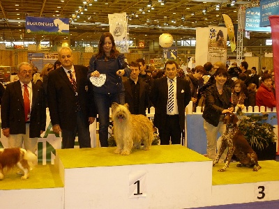 di l'alba di macchia - Concours Général Agricole 2012