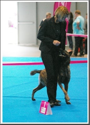 Des Gardiens De L'obiou - Championnat de France 2012 à Metz