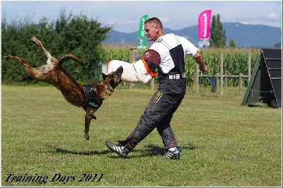 Des Gardiens De L'obiou - Les Training Days