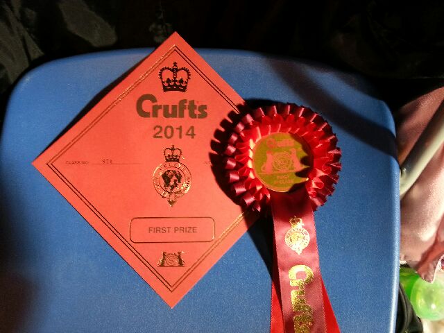 Black Domina - CRUFTS 2014