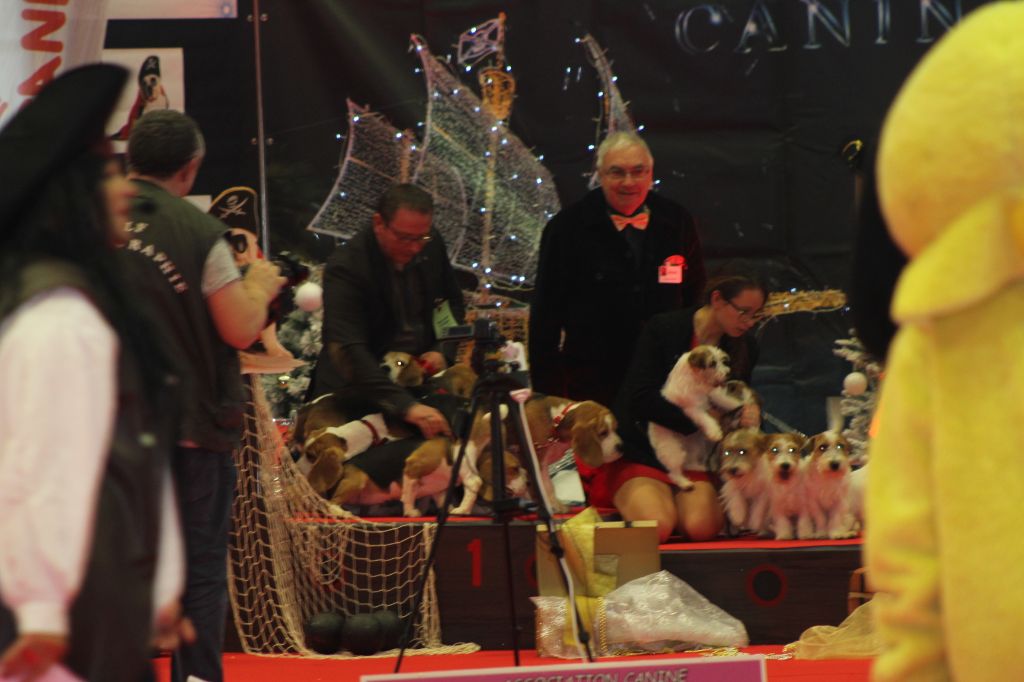 Des Chasseurs Du Temps - Exposition Internationale de Nantes