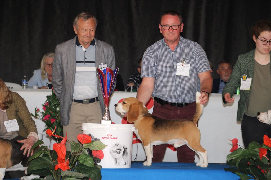 Des Chasseurs Du Temps - Exposition de Vallères 2024