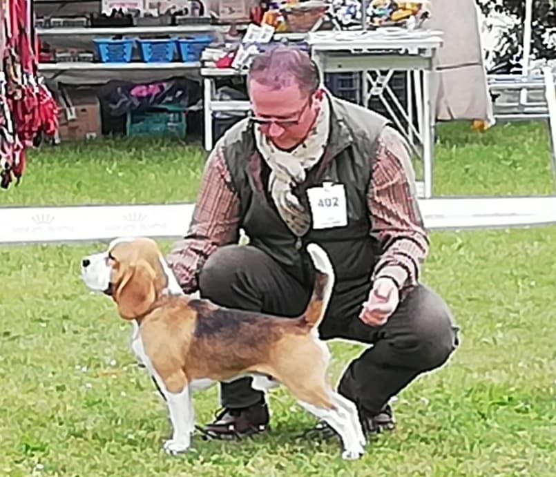 Des Chasseurs Du Temps - Exposition de Vallères  . 