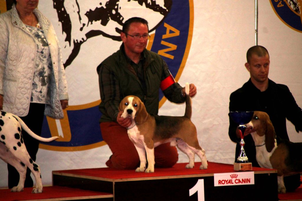 Des Chasseurs Du Temps - Exposition Le Mans