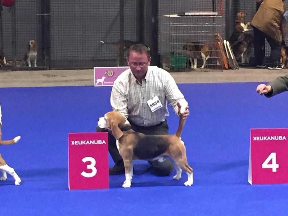 Des Chasseurs Du Temps - Championnat de France