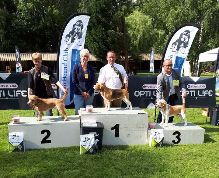 Des Chasseurs Du Temps - Begium Beagle Show et Belgium Hound Show