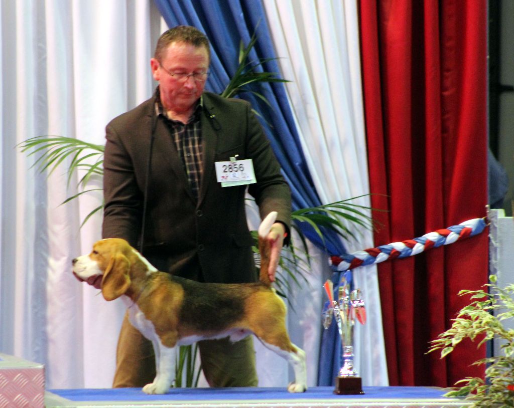 Des Chasseurs Du Temps - Exposition du Luxembourg