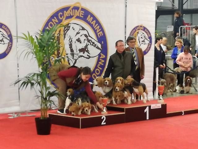 Des Chasseurs Du Temps - Exposition de Le Mans