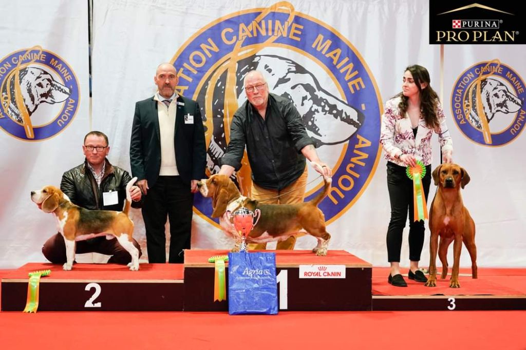 Des Chasseurs Du Temps - Exposition Internationale d ' Angers