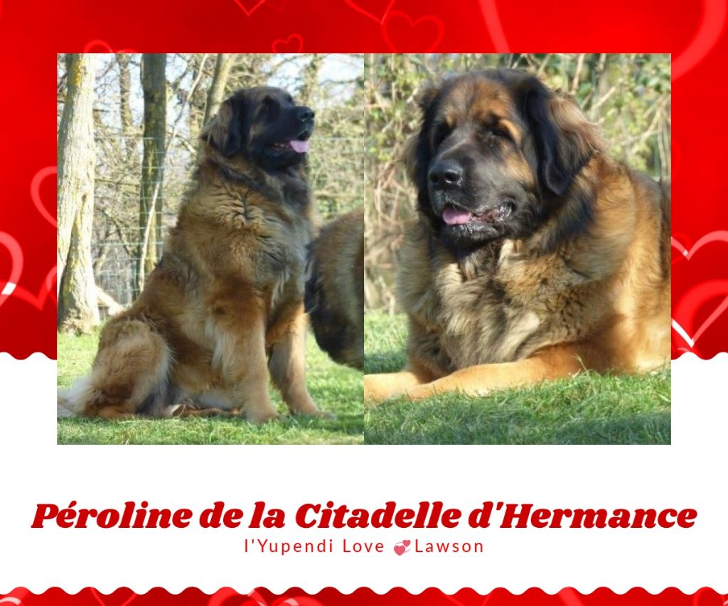 de la Citadelle D'Hermance - Péroline bientôt 2 ans 