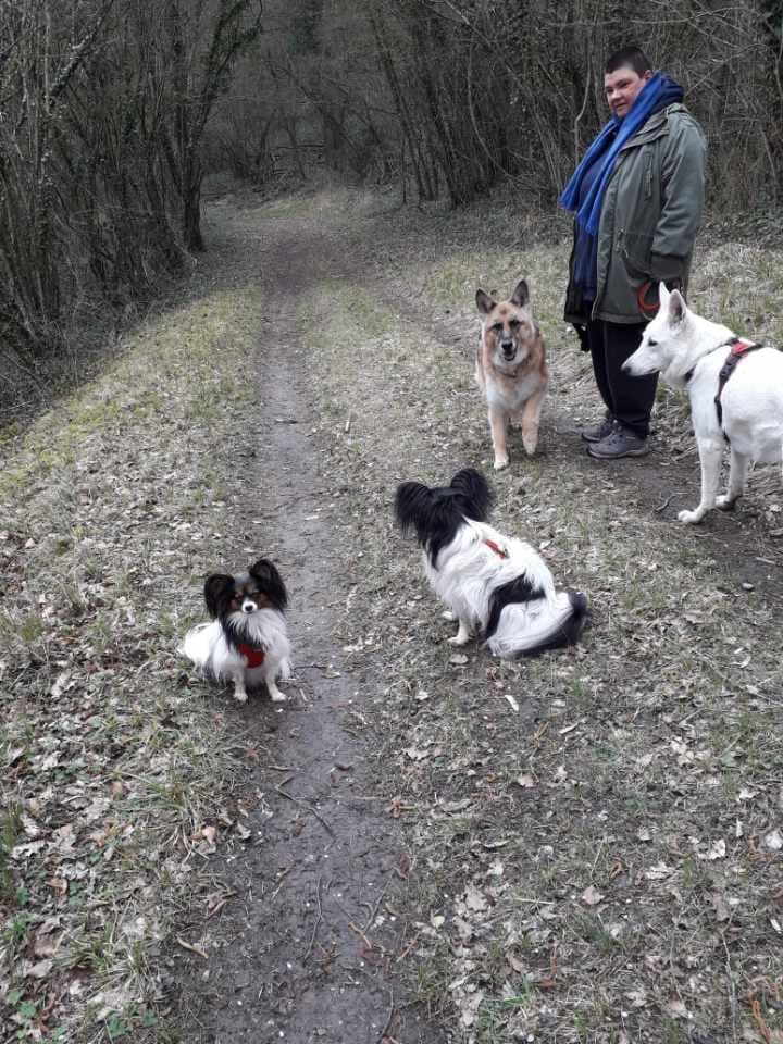 de la vallée de la Py - Reçu une photo de Prune de la vallée de la py merci