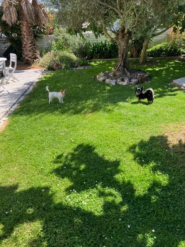 de la vallée de la Py - Reçu une photo de Vaya de la vallée de la py merci