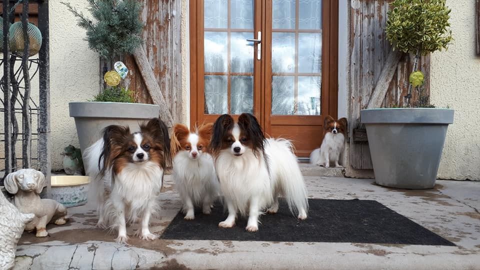 de la vallée de la Py - Visite a l'élevage de Nana ,retrouvailles avec la famille