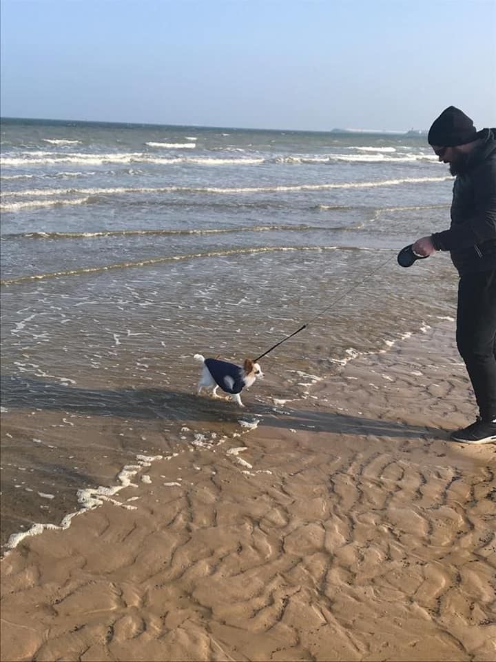 de la vallée de la Py - Reçu une photo de Roxy de la vallée de la py merci