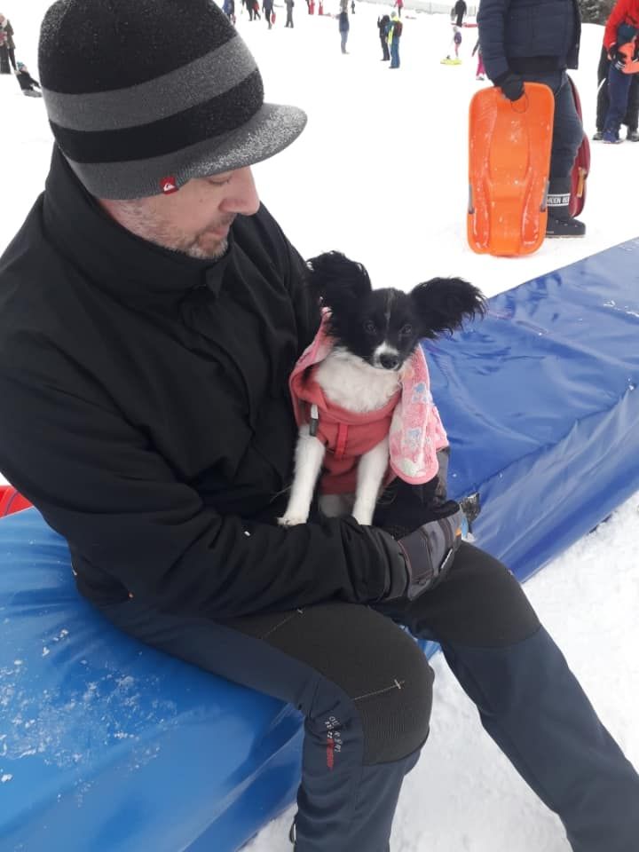 de la vallée de la Py - Reçu une photo de Rosie de la vallée de la py merci