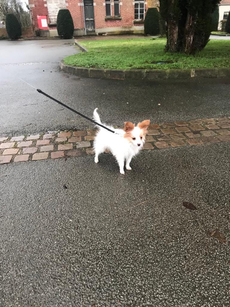 de la vallée de la Py - Reçu une photo de Roxy de la vallée de la py merci