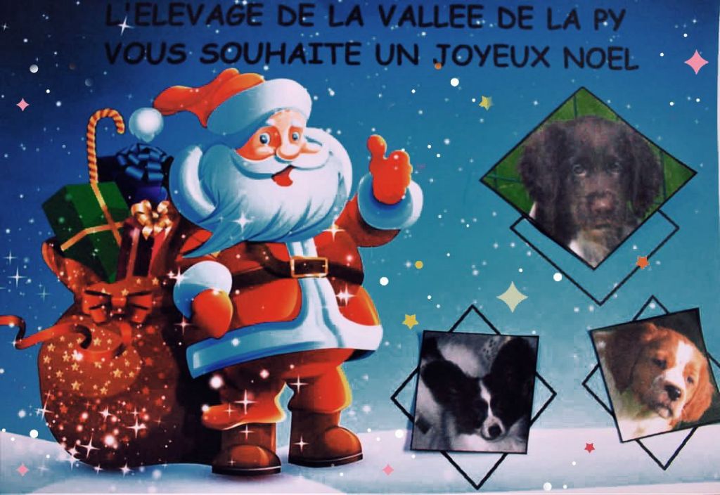 de la vallée de la Py - JOYEUX NOEL