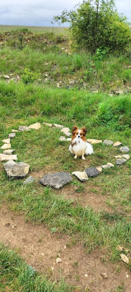 de la vallée de la Py - Reçu une photo de Samy de la vallée de la py merci