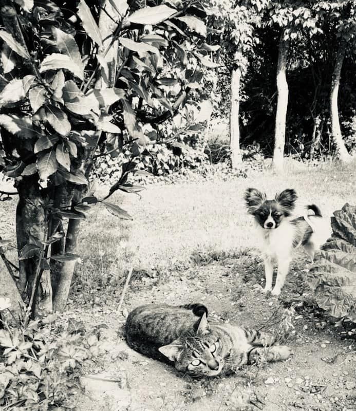 de la vallée de la Py - une autre  photo de Sherlock de la vallée de la py mer