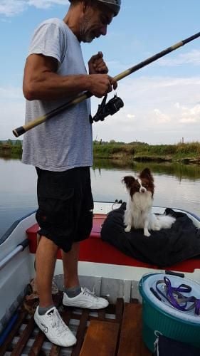 de la vallée de la Py - DES NOUVELLES DE NICKY DE LA VALLEE DE LA PY MERCI