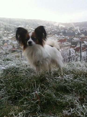 de la vallée de la Py - UNE PHOTO DE LUIGI 