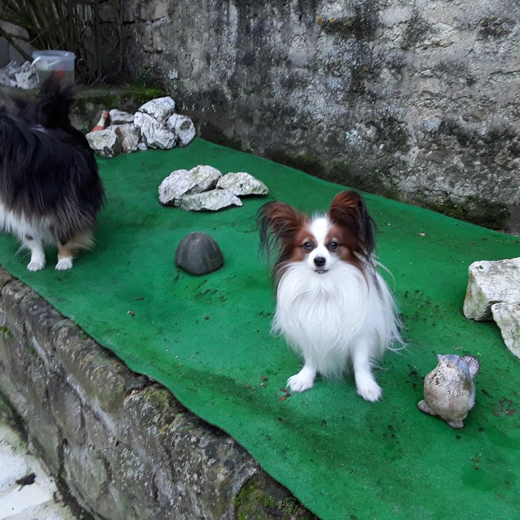 de la vallée de la Py - Reçu une photo de Jepp dit  Zép de la vallée de la py merci