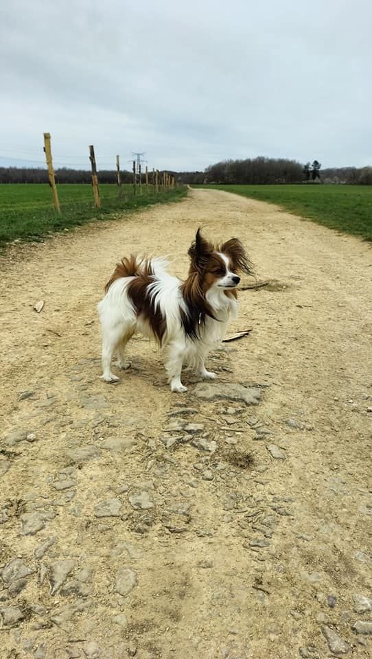 de la vallée de la Py - Reçu une photo de Samy de la vallée de la py merci