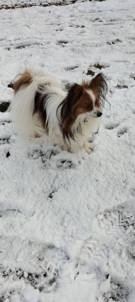 de la vallée de la Py - Reçu une photo de Samy de la vallée de la py déja 4 ans merci