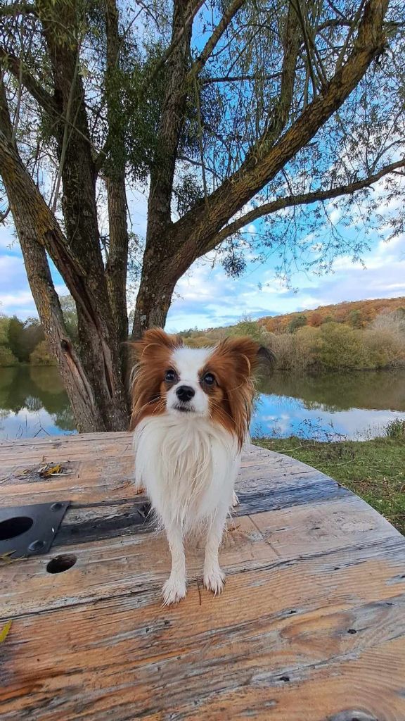 de la vallée de la Py - Reçu une photo de Ula de la vallée de la py merci