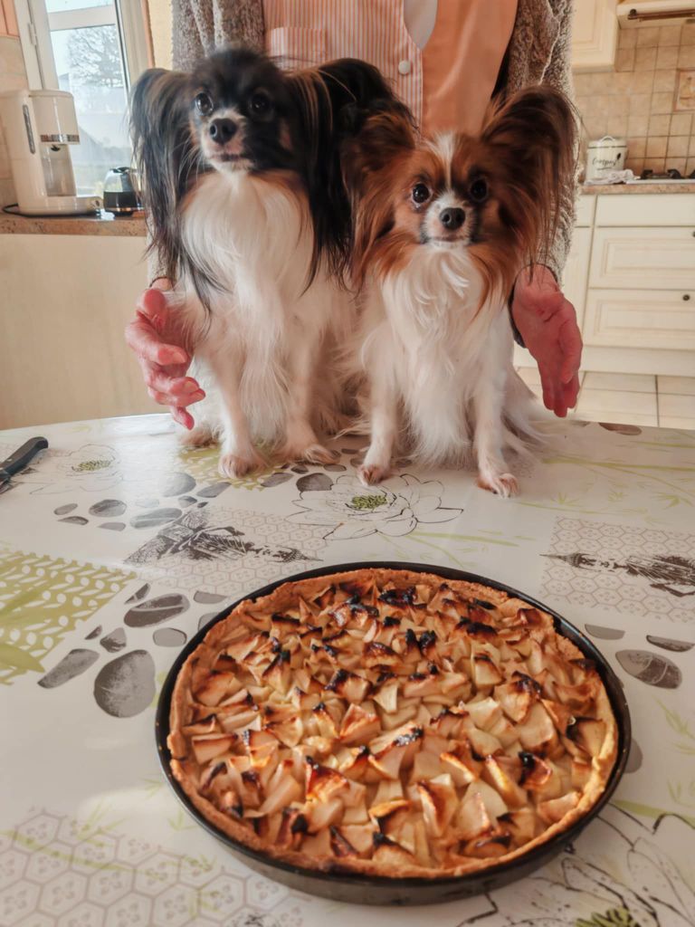 de la vallée de la Py - Reçu une photo de Zéline et Scarlett de la vallée de la py merci