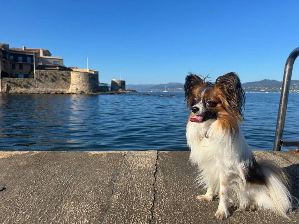 de la vallée de la Py - Reçu une photo de Sherlock de la vallée de la py merci