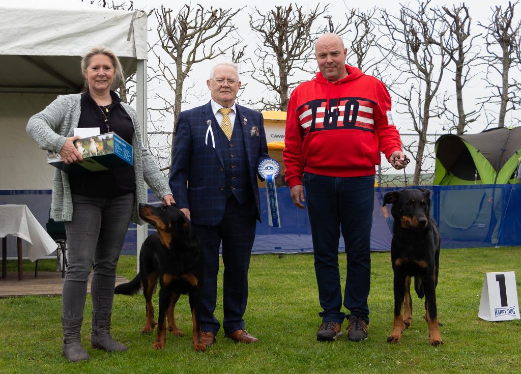 L'ami De La Campagne - Dogshow KC Zeeland