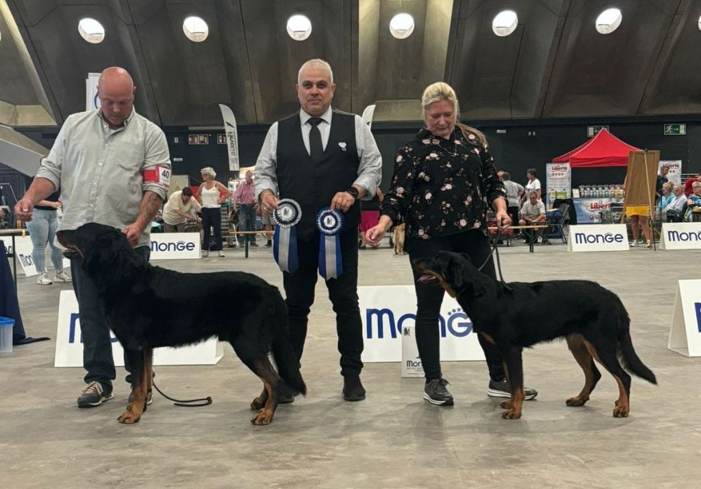 L'ami De La Campagne - Dogshow Mechelen