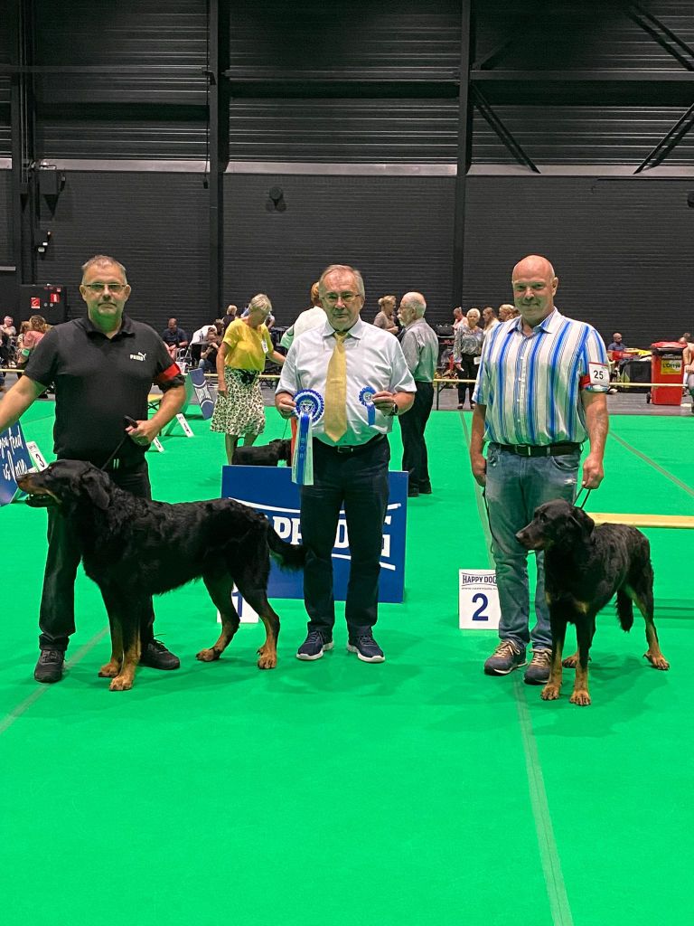 L'ami De La Campagne - Intern dogshow Maastricht