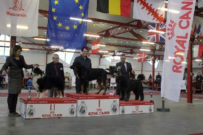 L'ami De La Campagne - Dogshow Mouscron