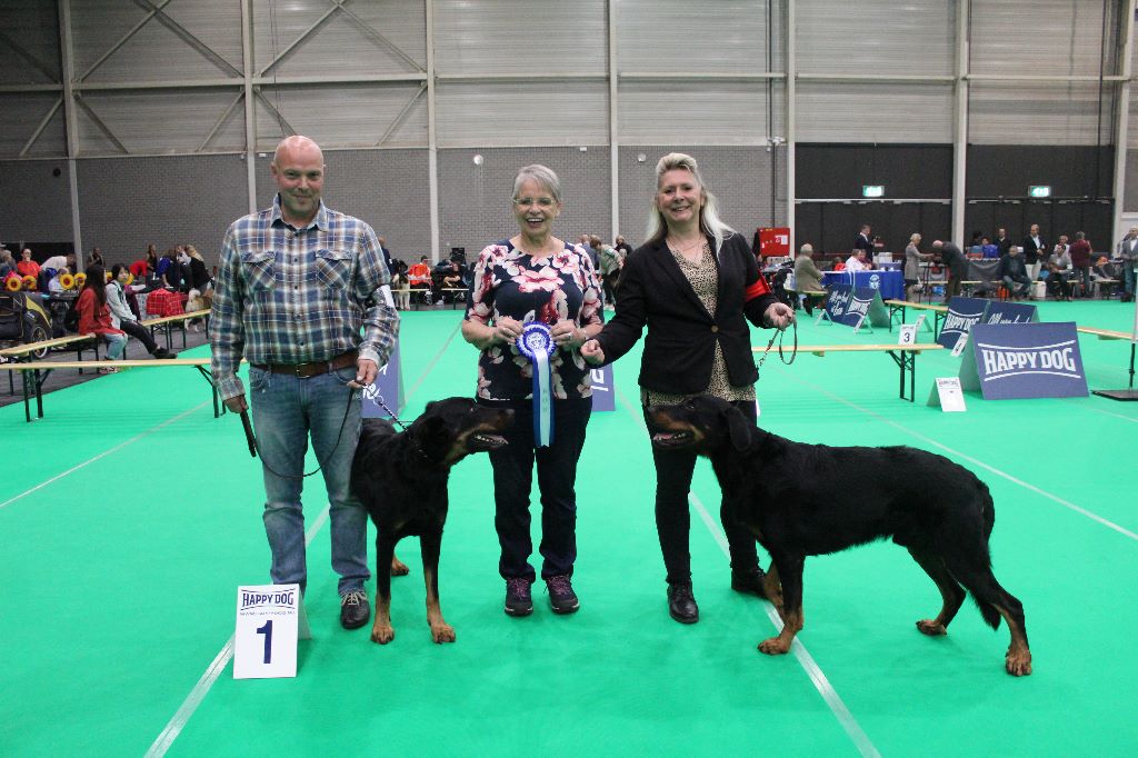 L'ami De La Campagne - Dogshow Maastricht (NL)