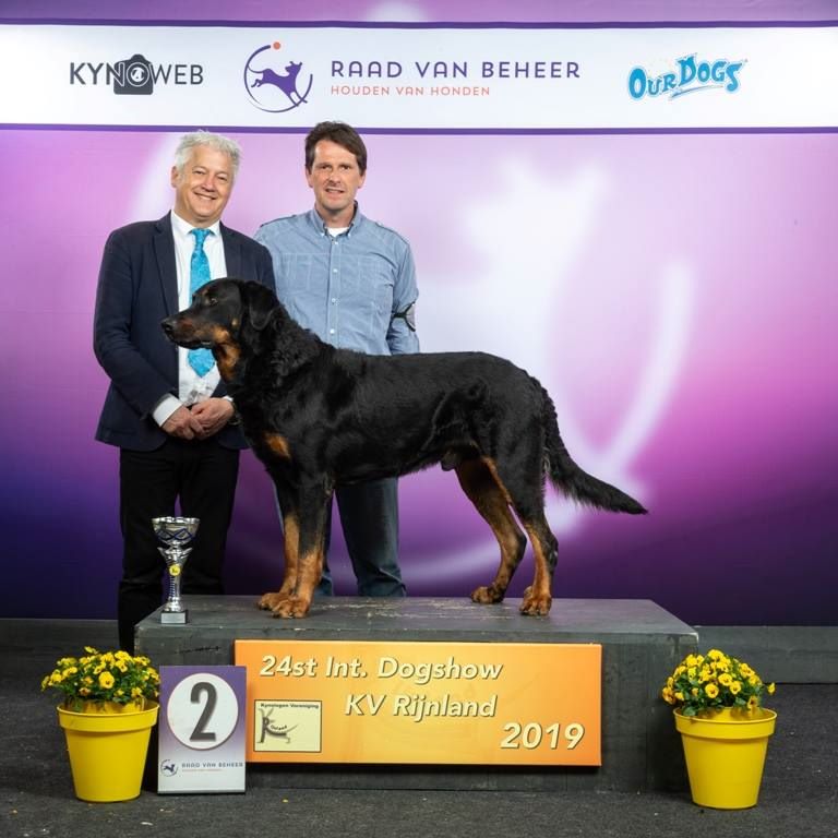 L'ami De La Campagne - Dogshow Rijnland (NL)